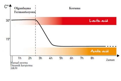 Ekşi Maya Hamurun Yapılışı ve Bilinmeyenleri